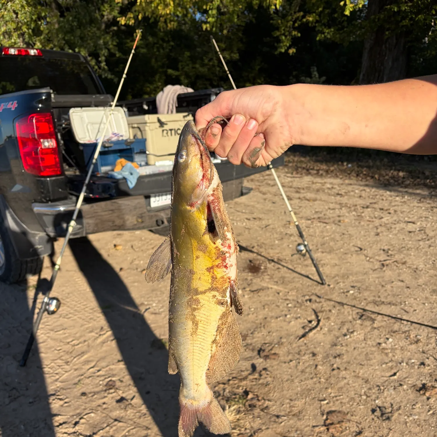 catch