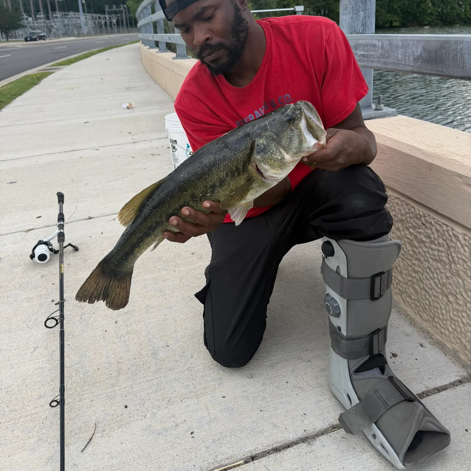 Largemouth bass caught on Fishbrain