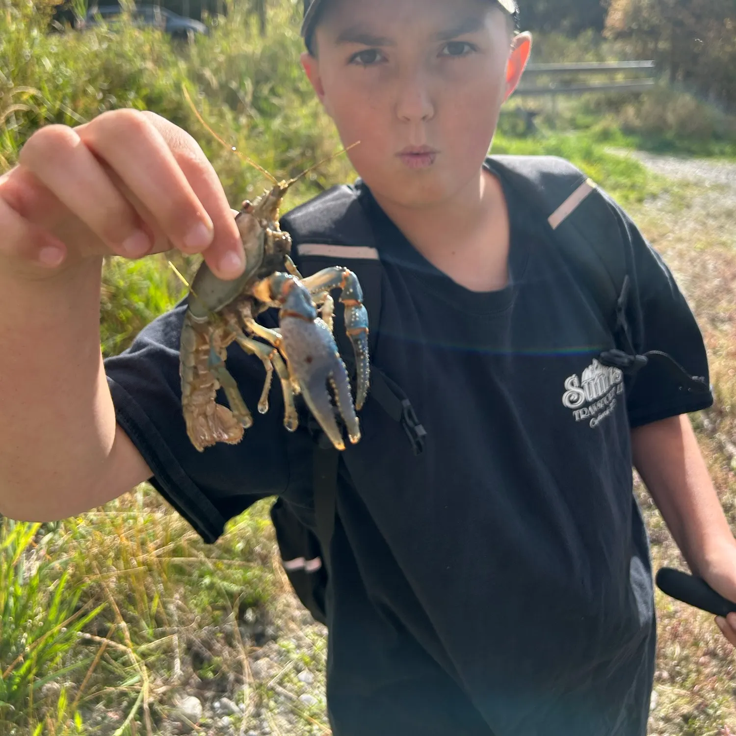 Signal crayfish caught on Fishbrain