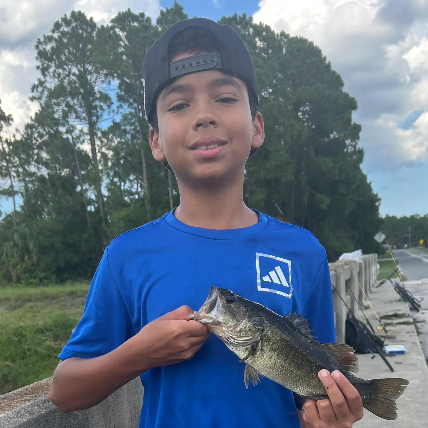 The most recent Largemouth bass catches on Fishbrain
