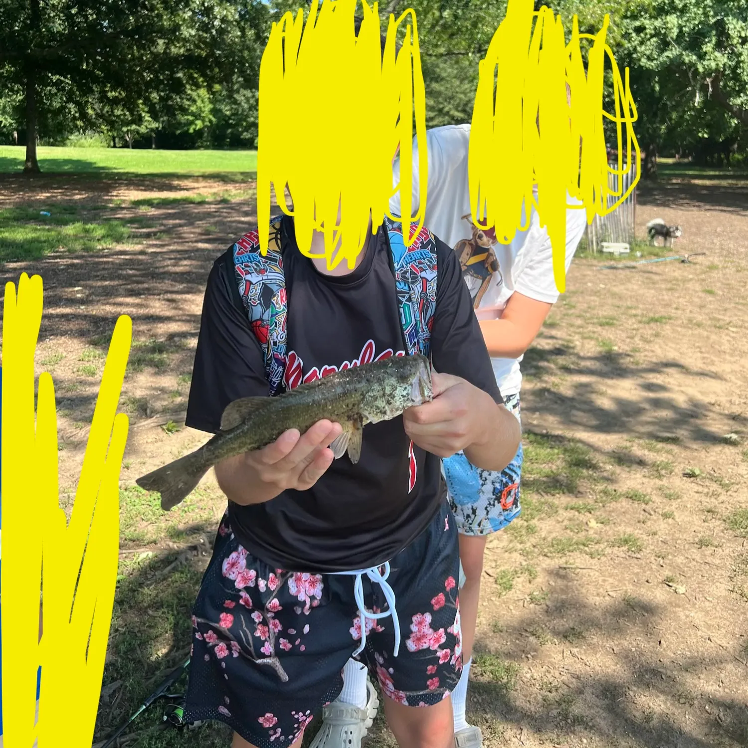 Smallmouth bass caught on Fishbrain