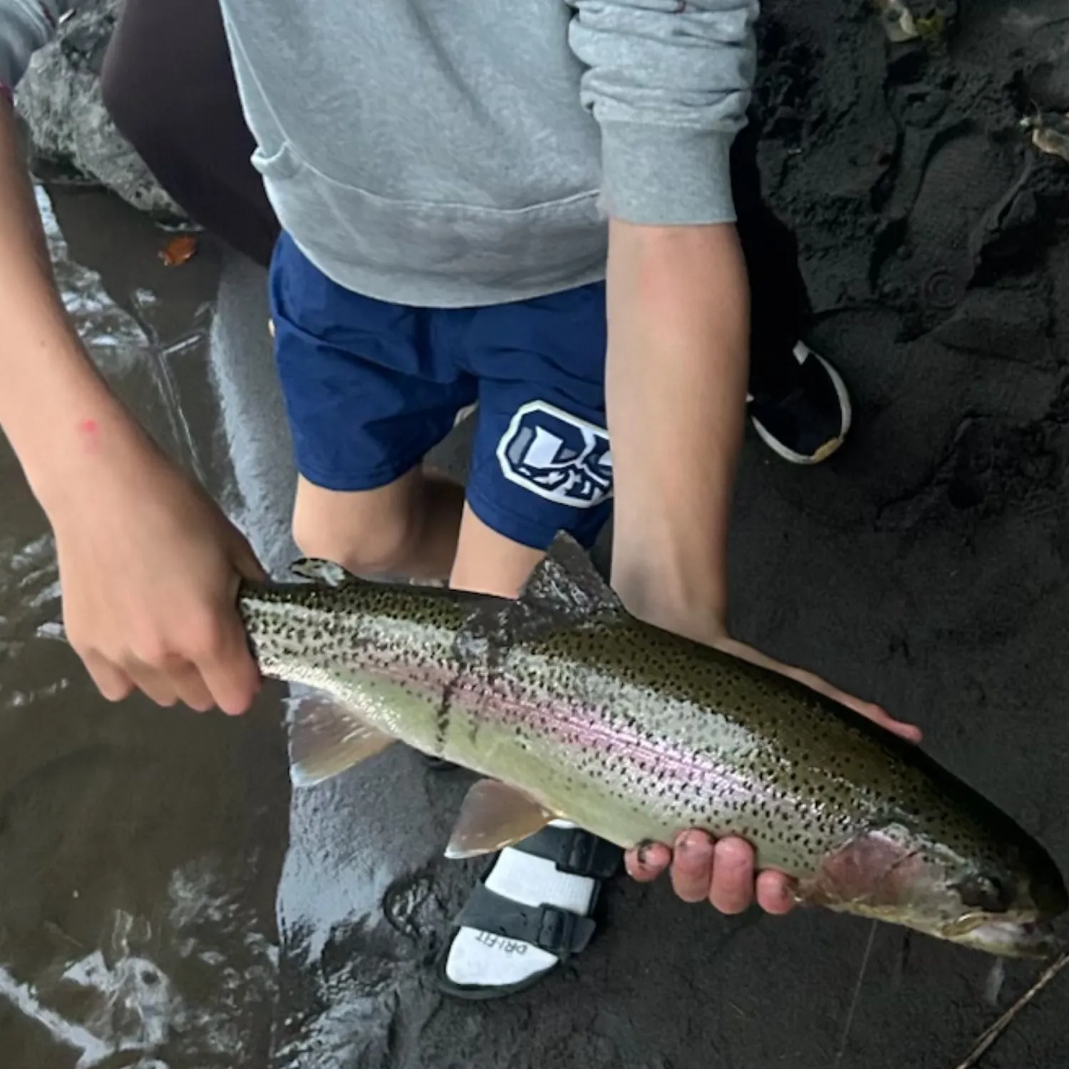 Steelhead caught on Fishbrain