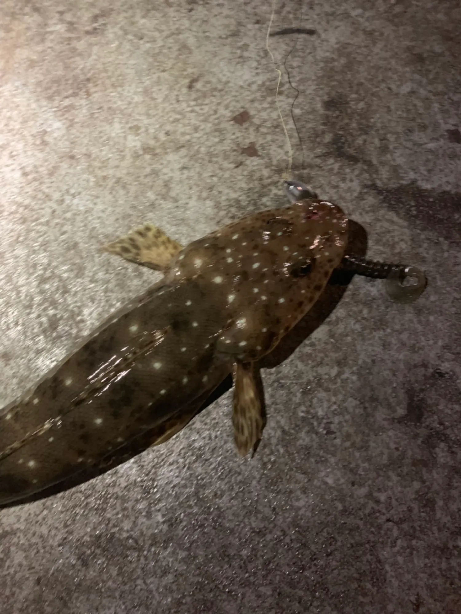 Post image from benjimizzi