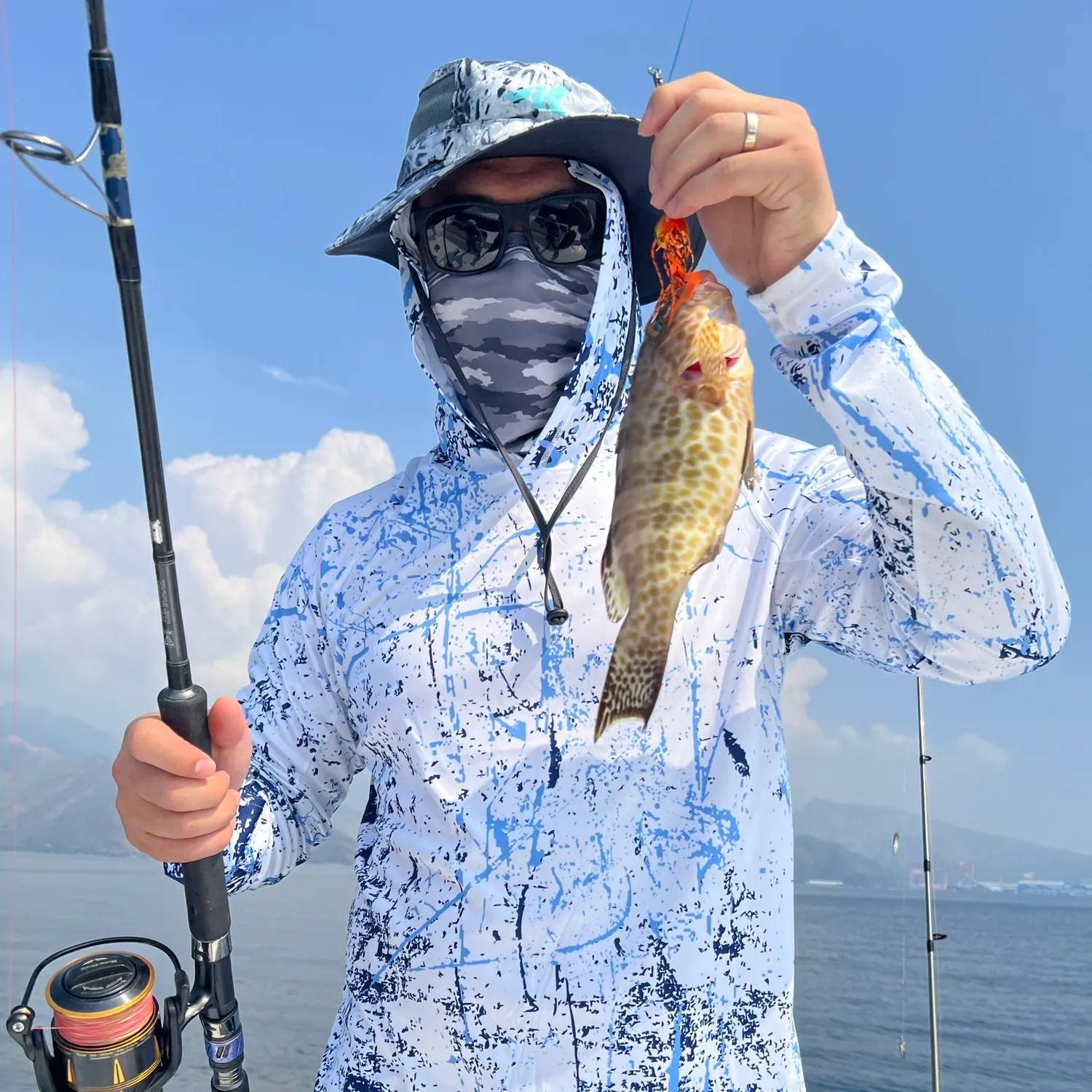 The most recent Areolate grouper catches on Fishbrain