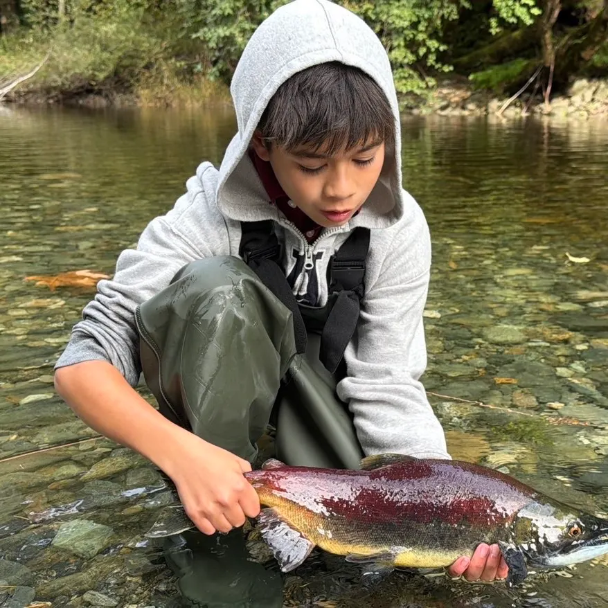 Sockeye salmon caught on Fishbrain