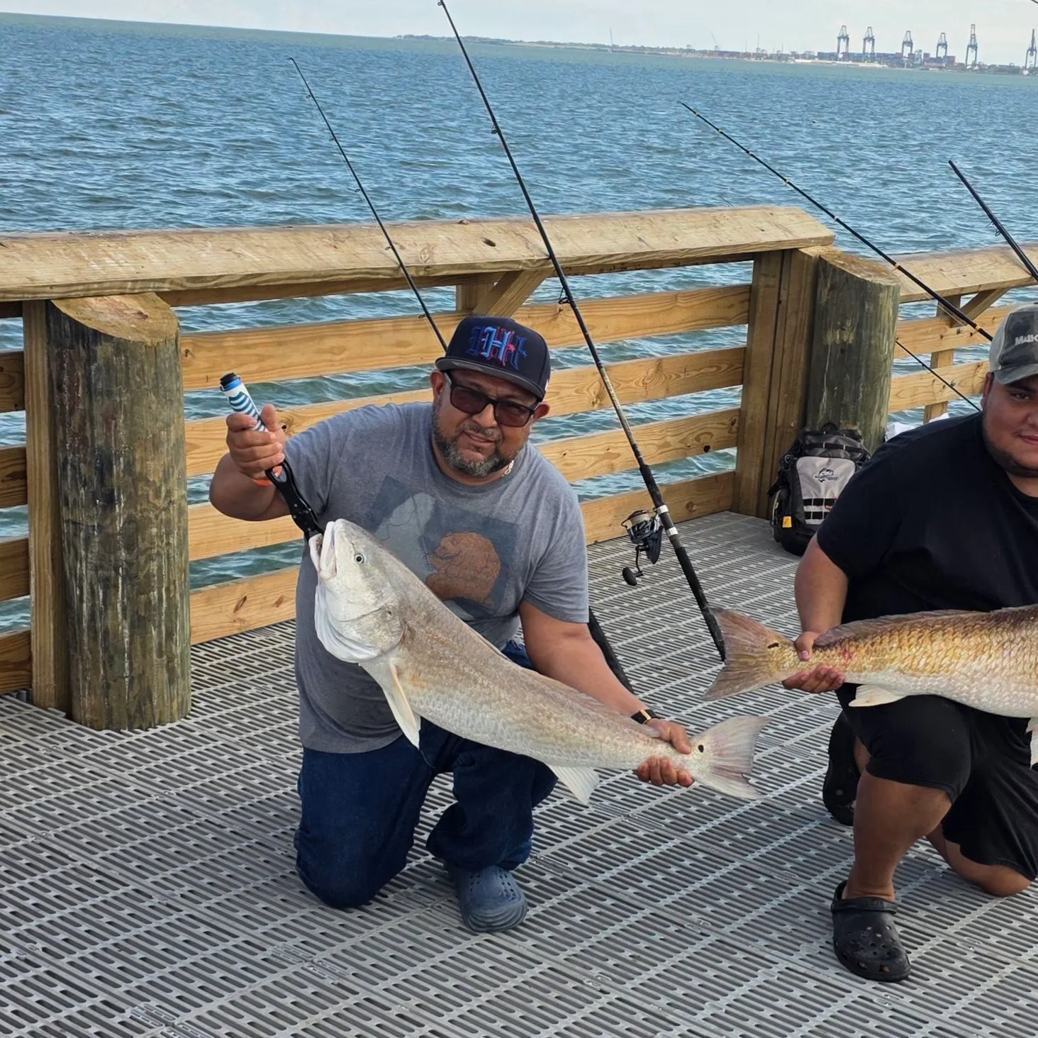 Red drum caught on Fishbrain