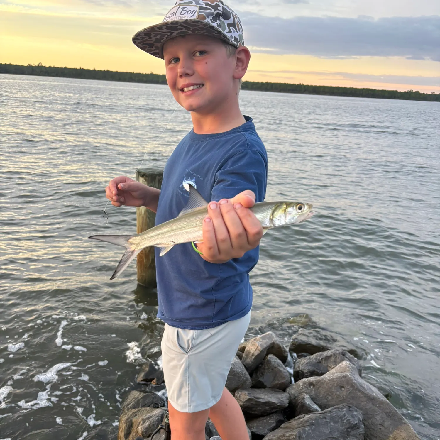 Ladyfish caught on Fishbrain