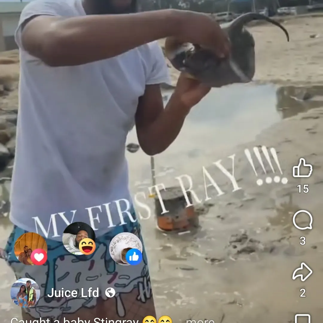 The most recent Izu stingray catches on Fishbrain