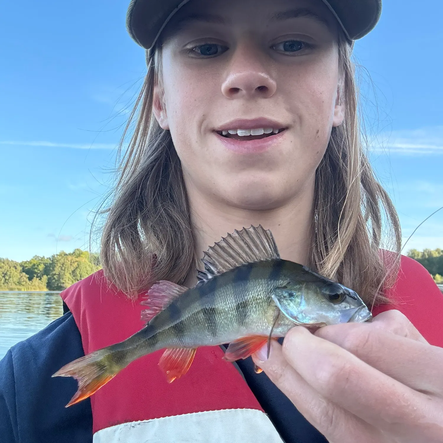 European perch caught on Fishbrain