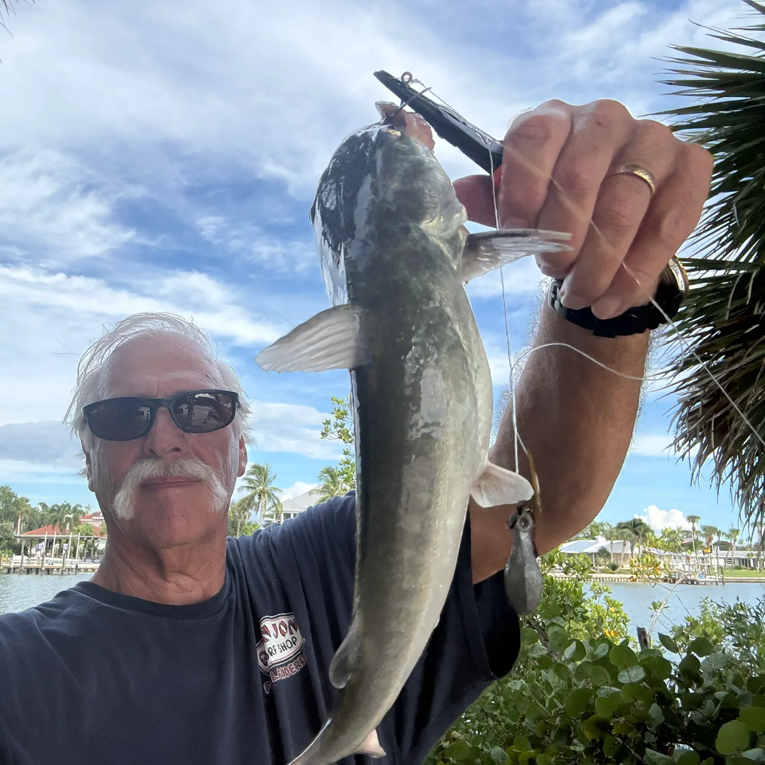 Blue catfish caught on Fishbrain