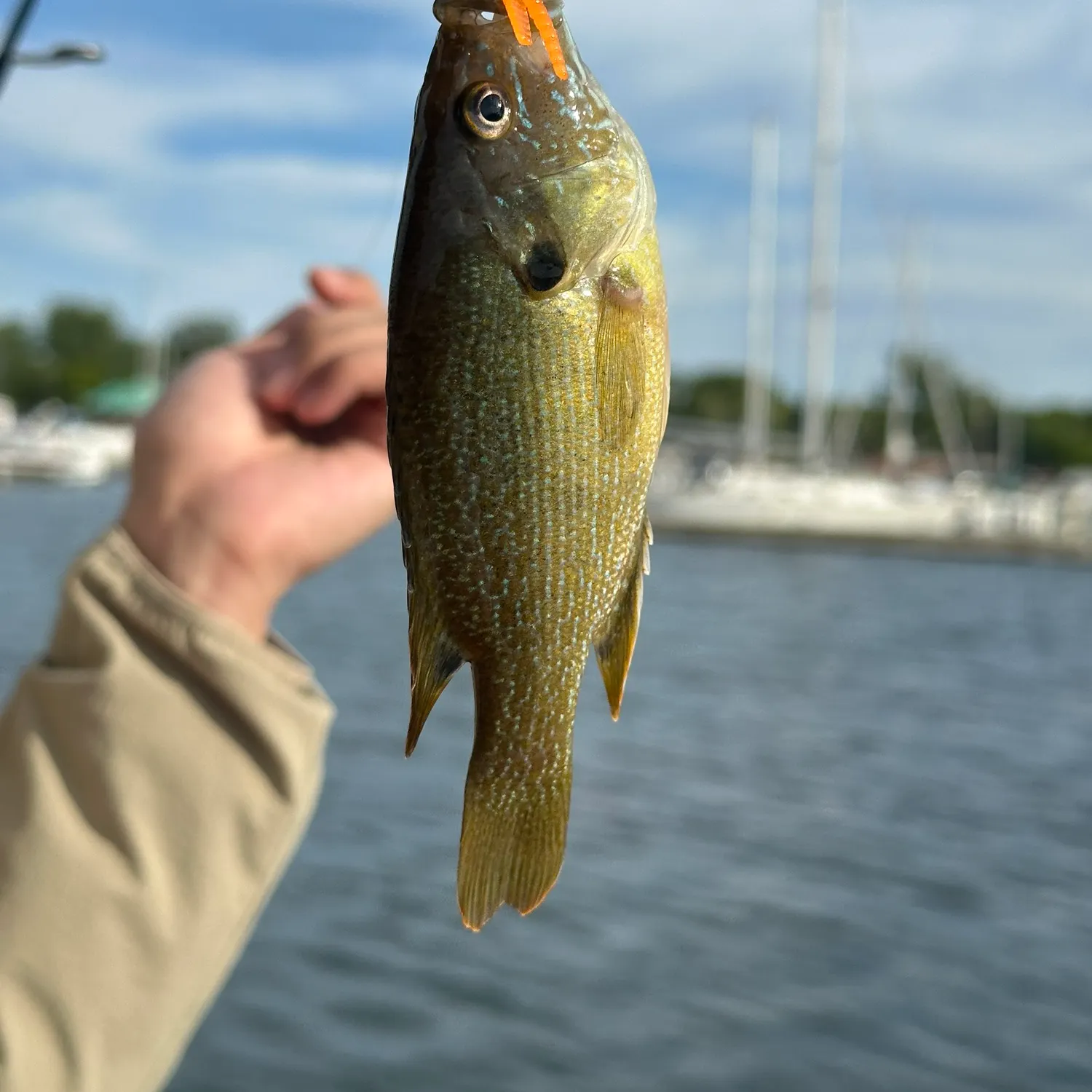 catch