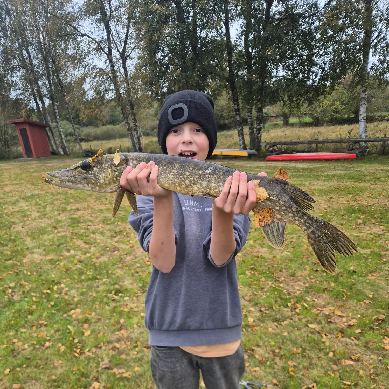 Northern pike caught on Fishbrain