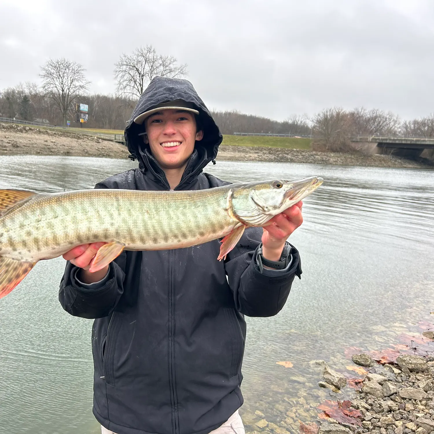 The most recent Muskellunge catches on Fishbrain