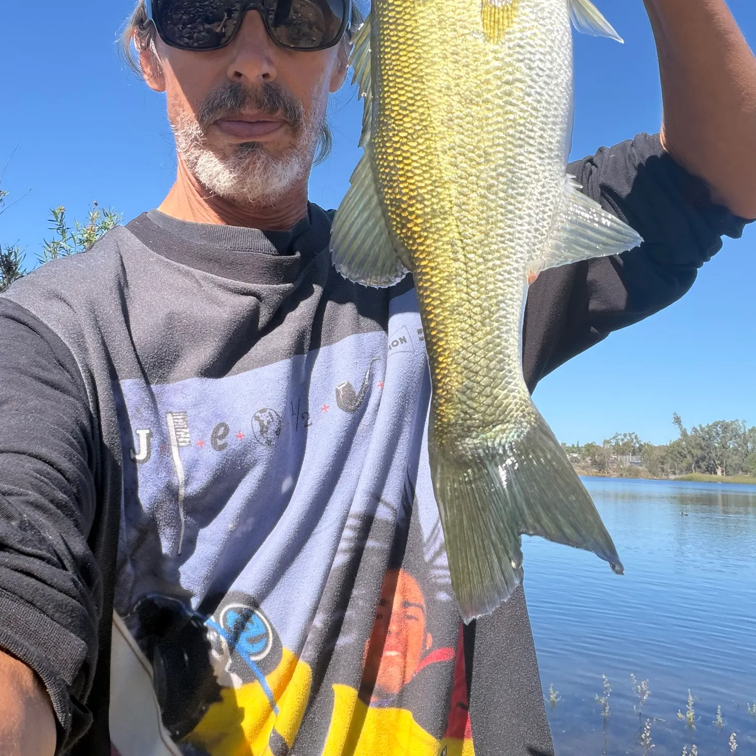 Largemouth bass caught on Fishbrain
