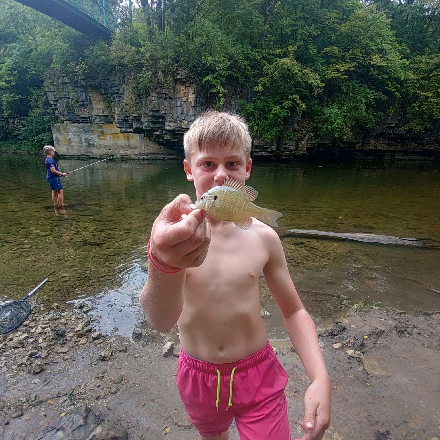 Longear sunfish caught on Fishbrain