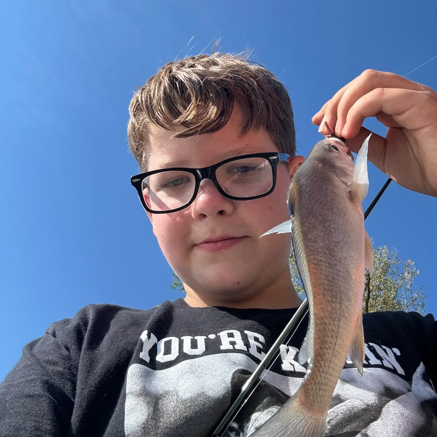 Freshwater drum caught on Fishbrain