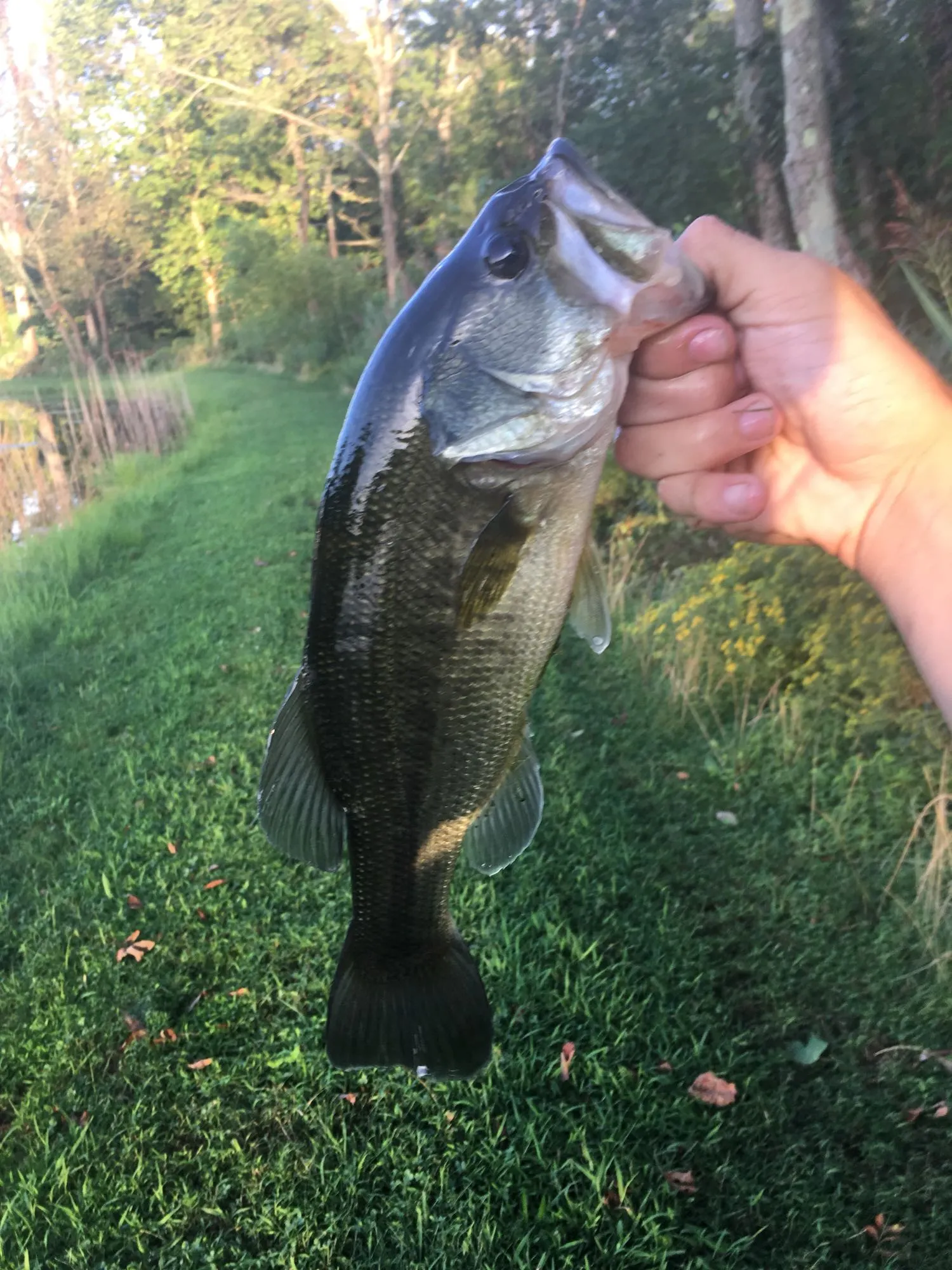 Post image from andrewclothier