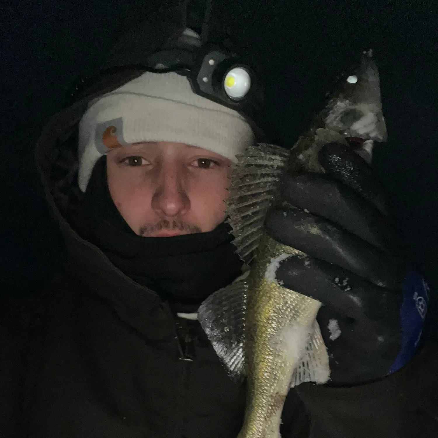 The most recent Saugeye catches on Fishbrain