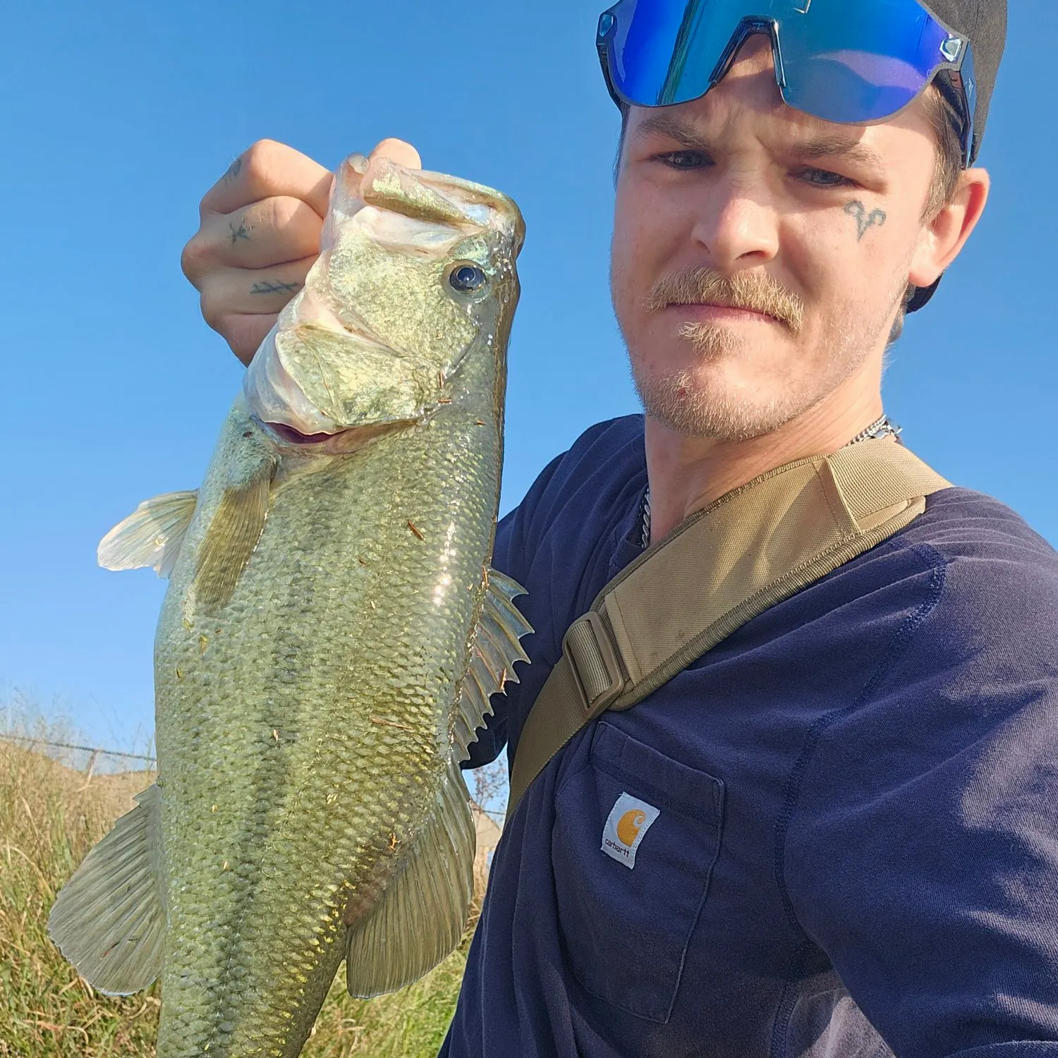 Largemouth bass caught on Fishbrain