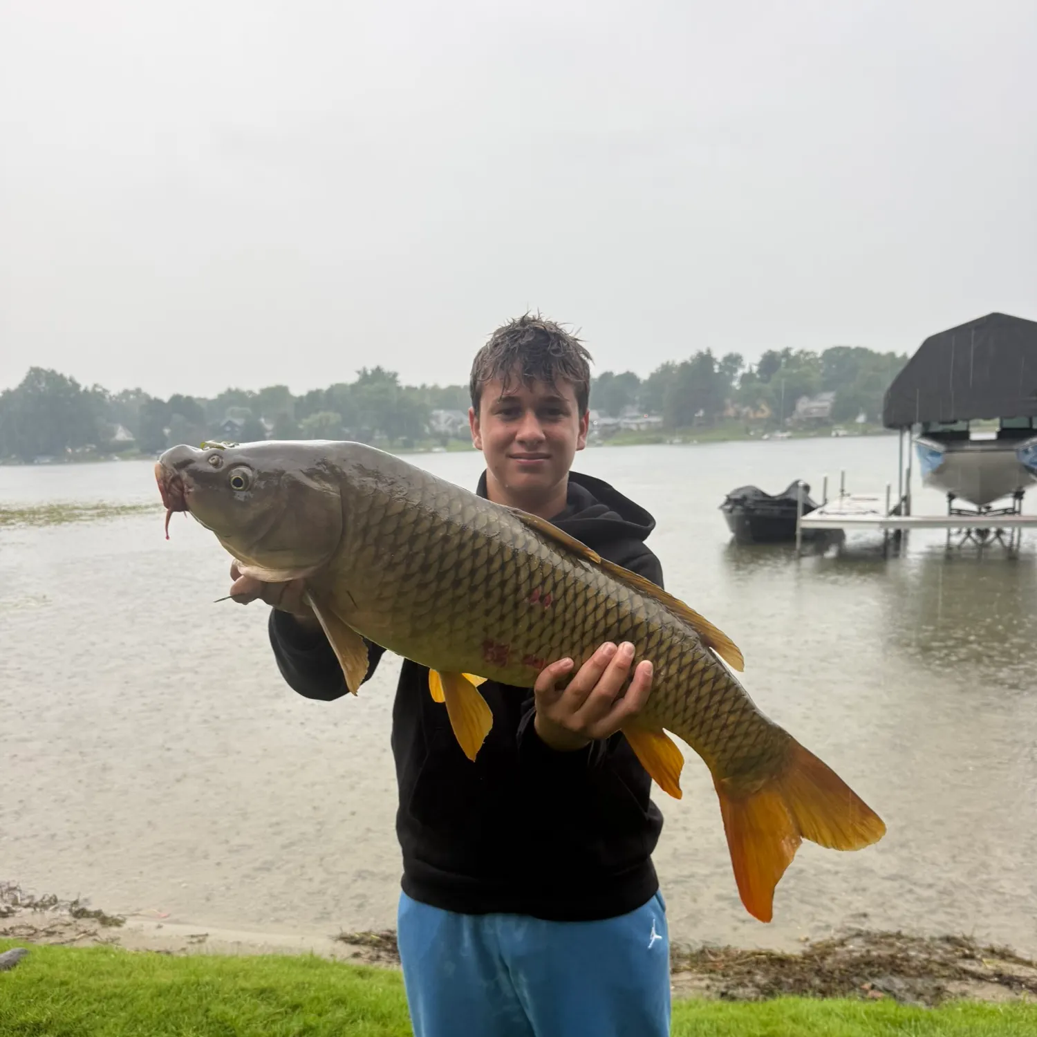 Common carp caught on Fishbrain