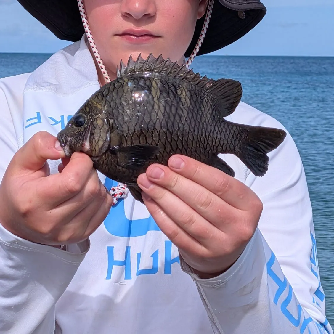 The most recent Night Sergeant catches on Fishbrain