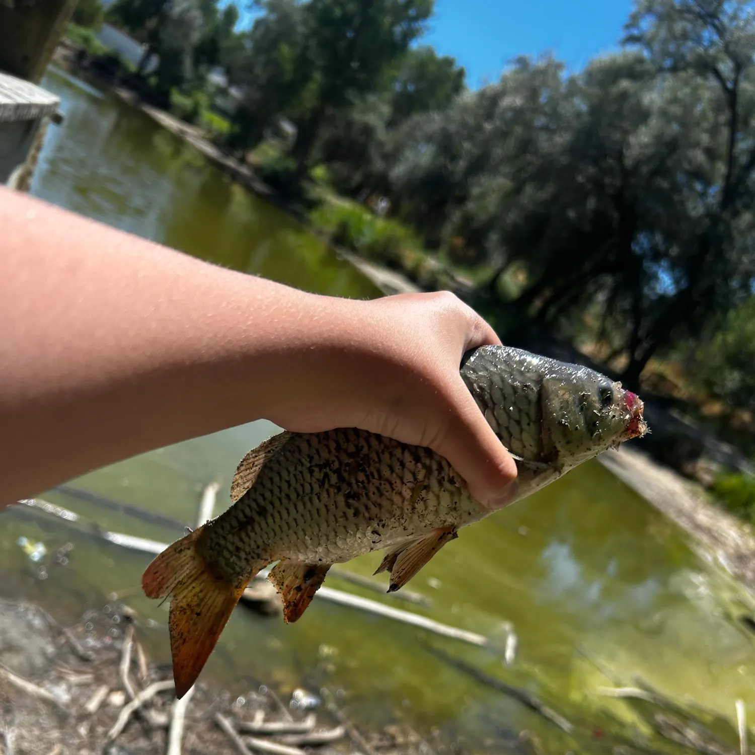 catch