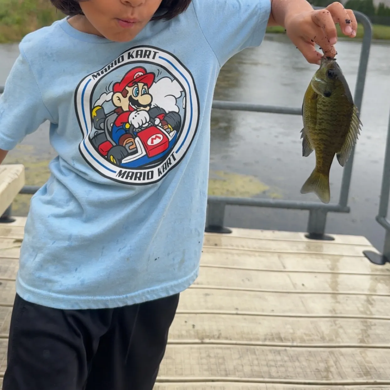 Bluegill caught on Fishbrain