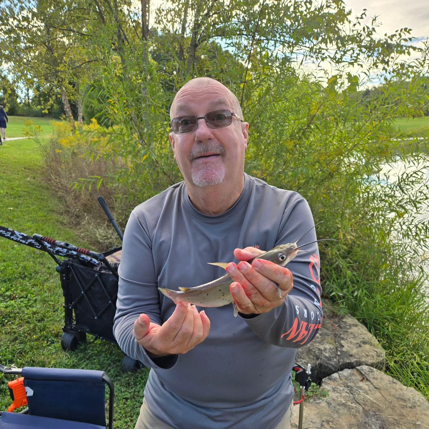 Channel catfish caught on Fishbrain