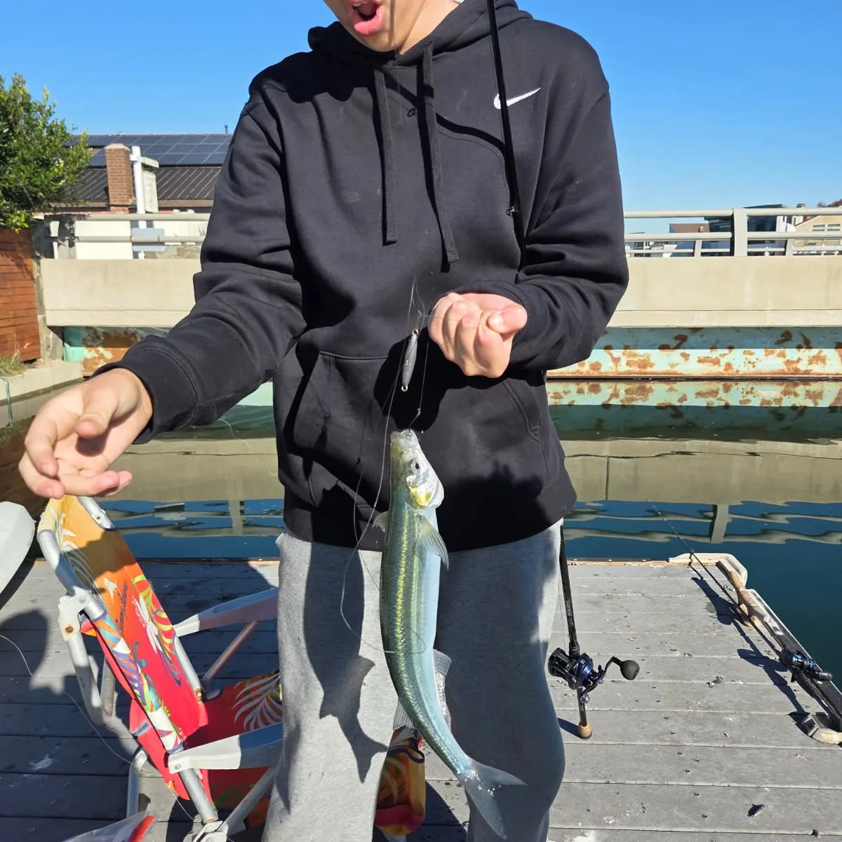The most recent Jack silverside catches on Fishbrain