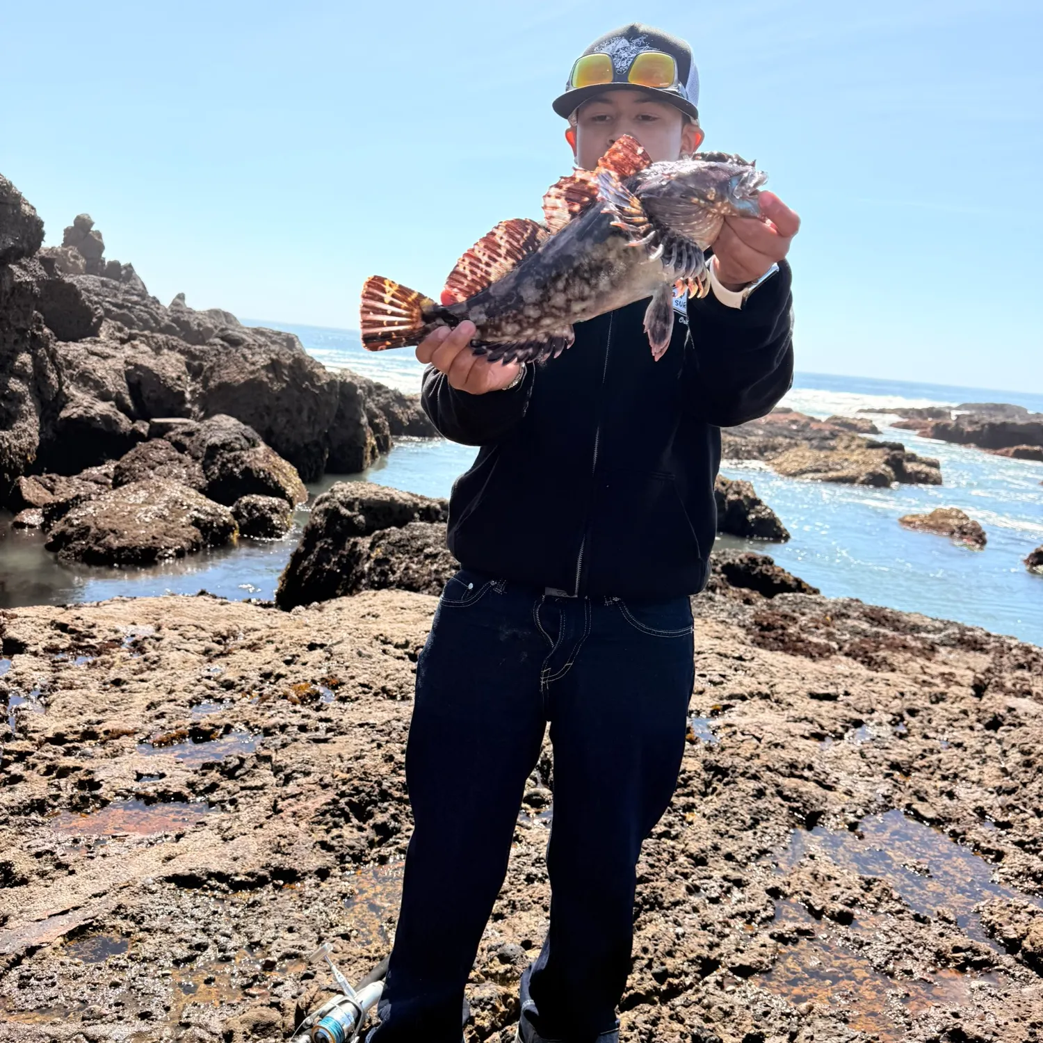 The most recent Cabezon catches on Fishbrain