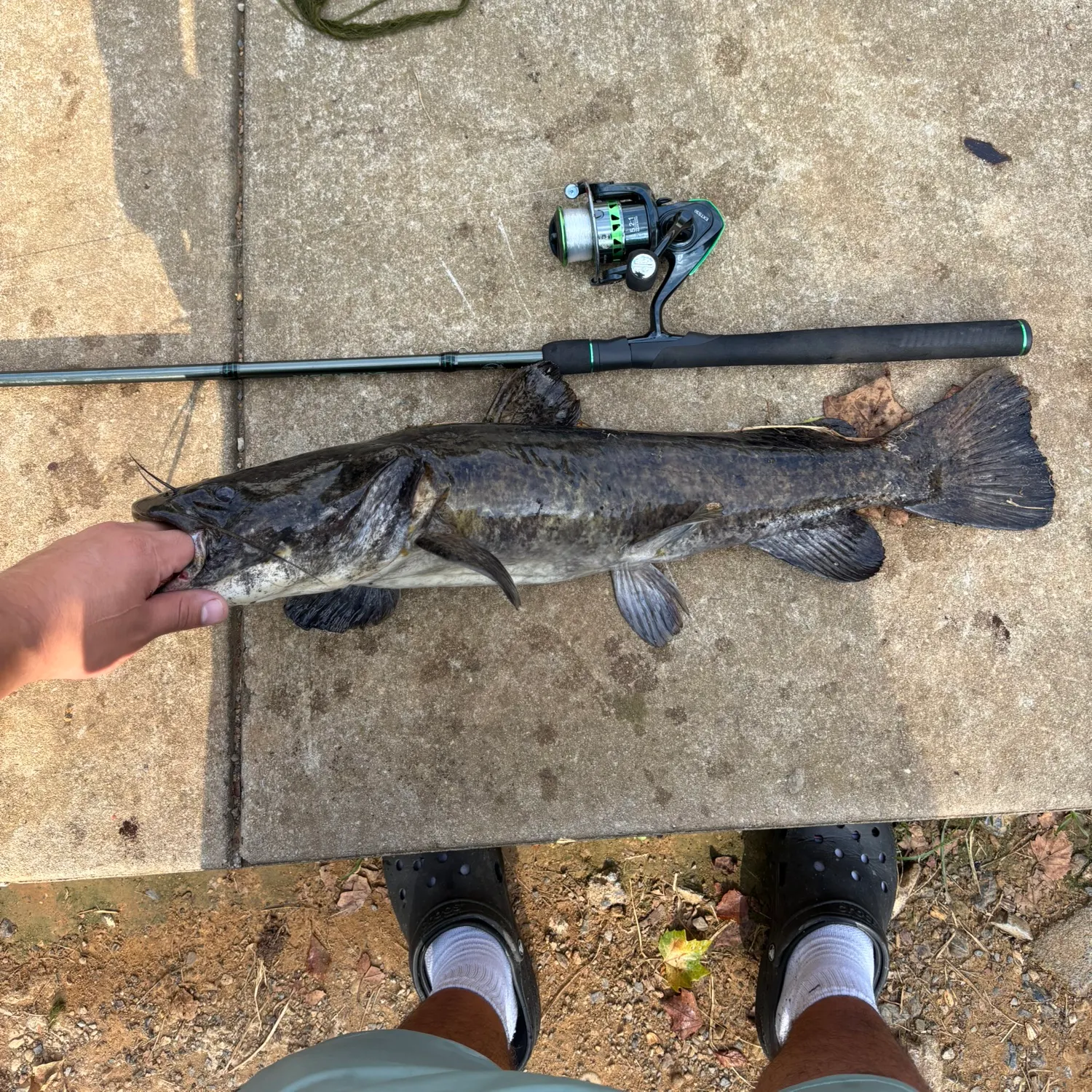 catch