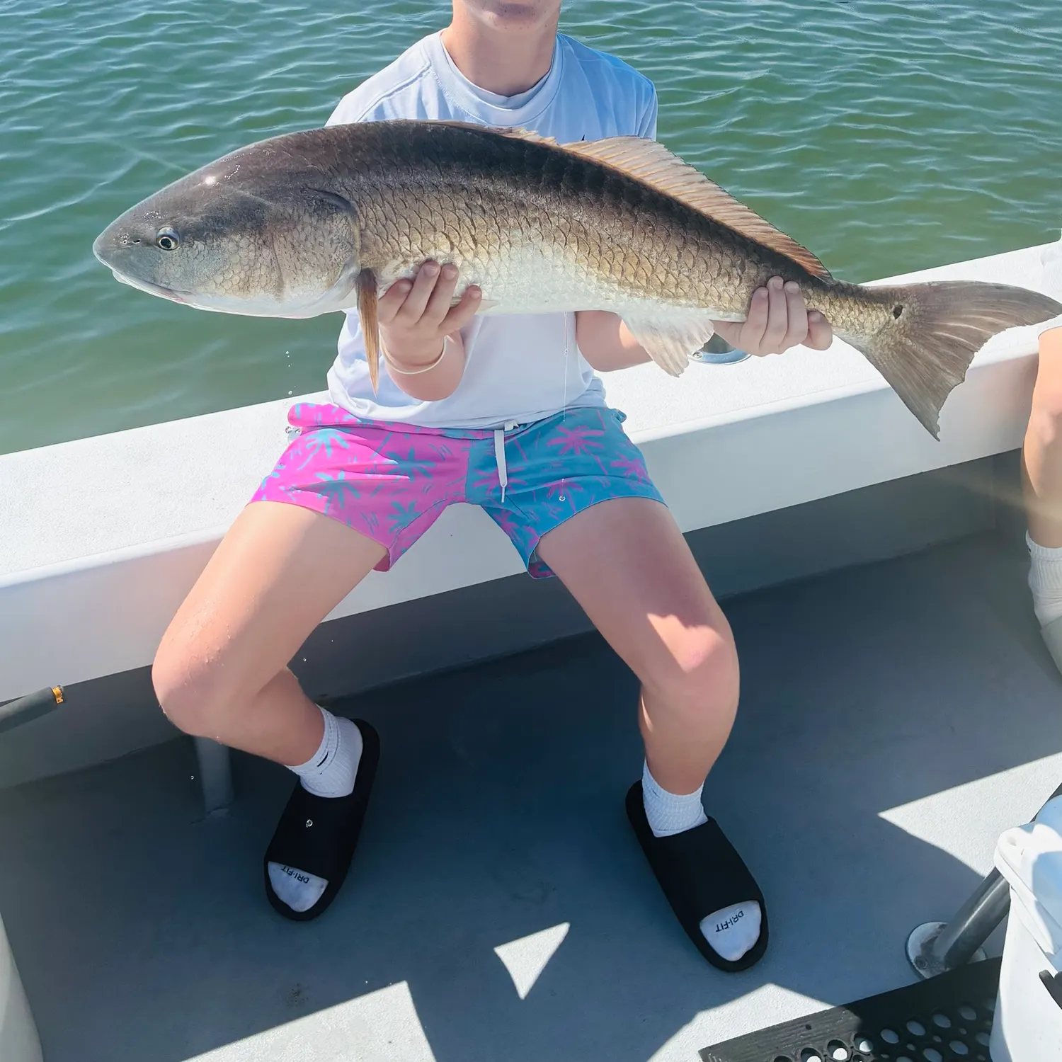 Red drum caught on Fishbrain