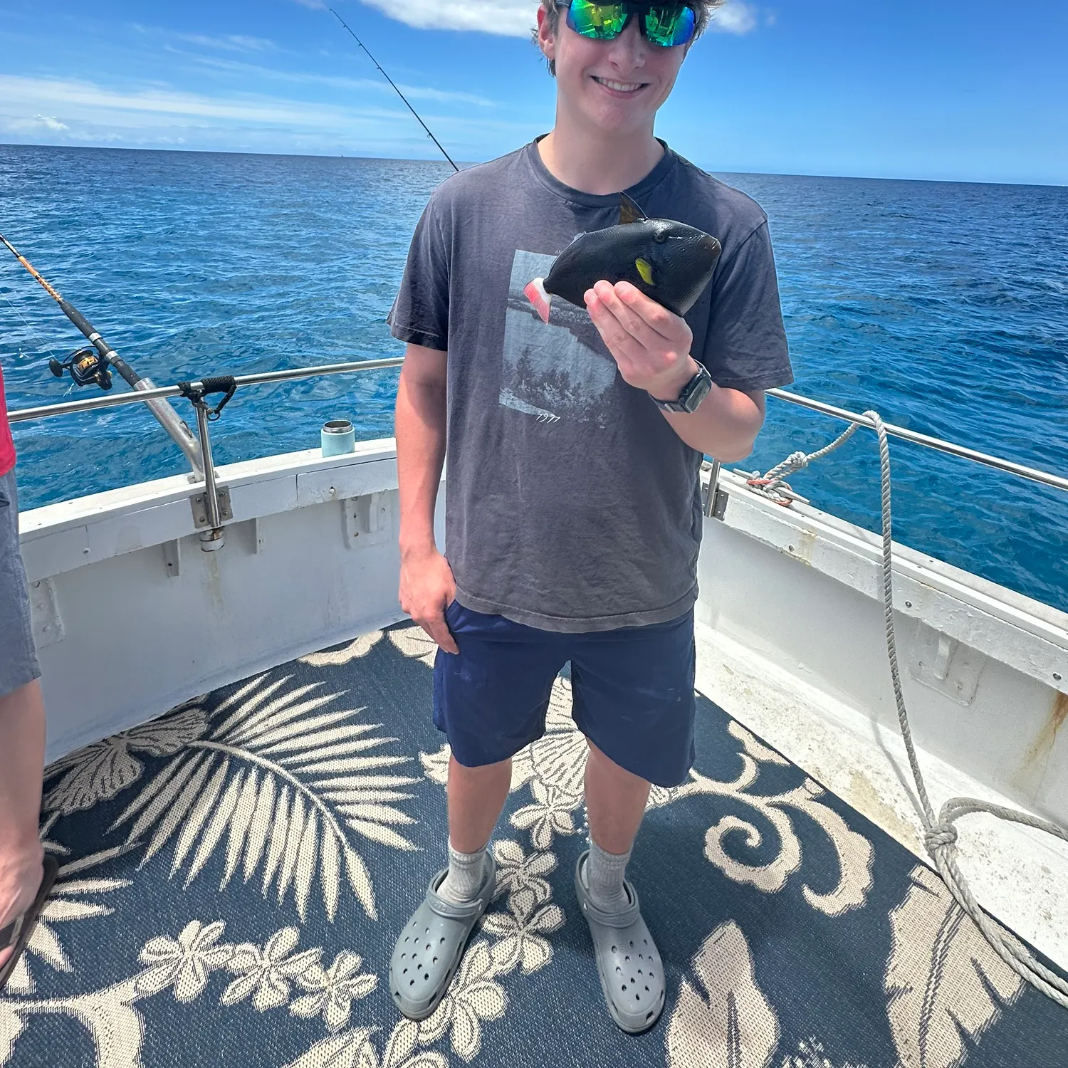The most recent Pinktail triggerfish catches on Fishbrain