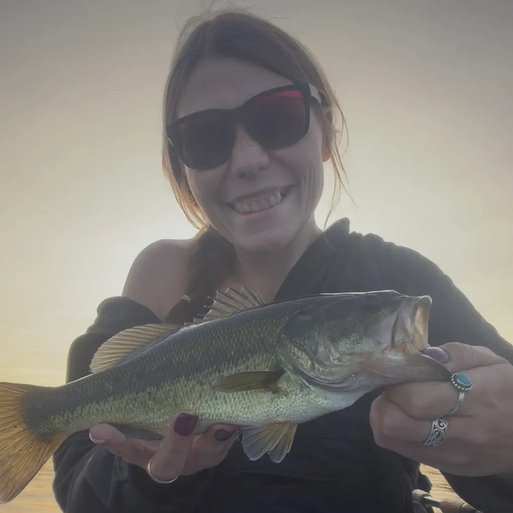 Largemouth bass caught on Fishbrain