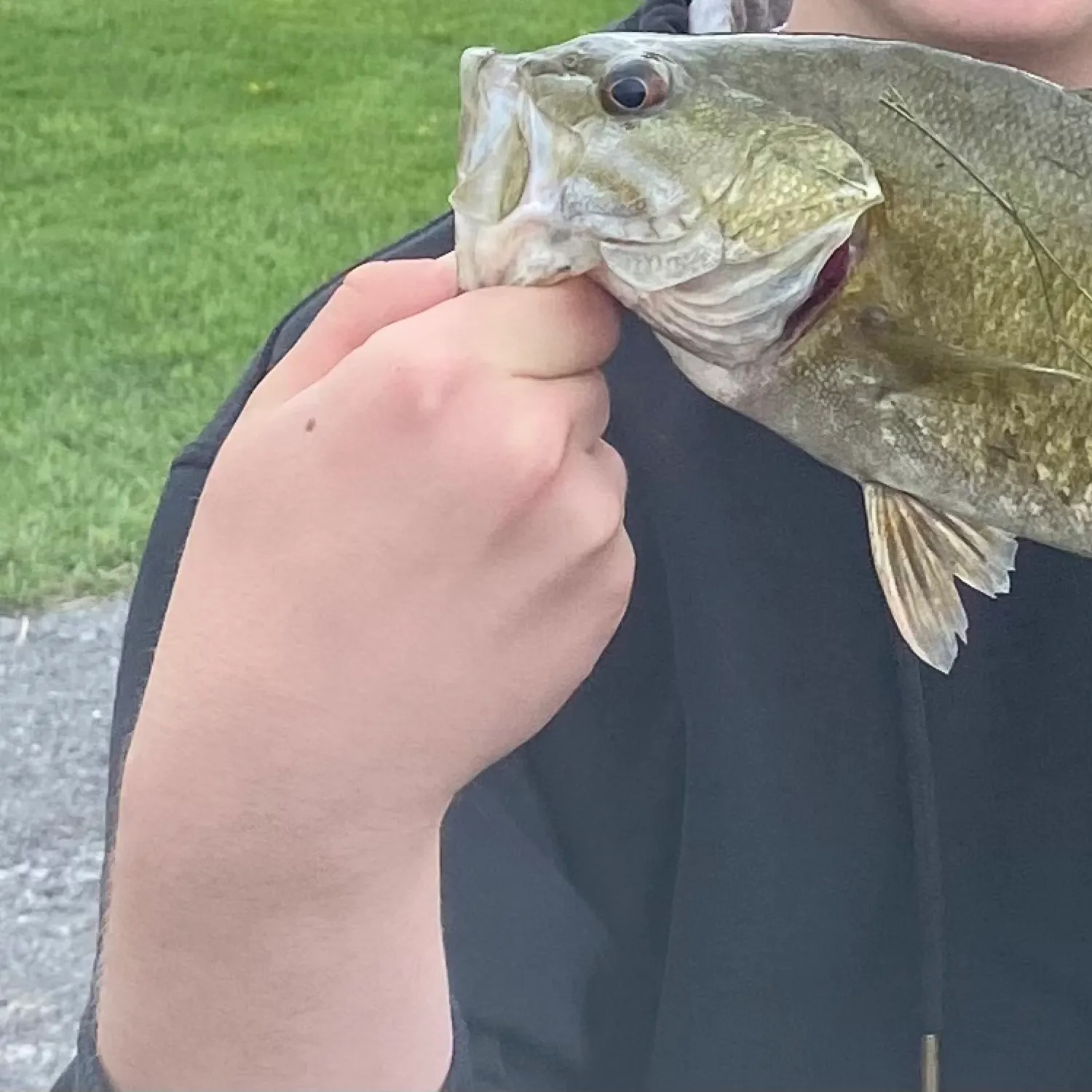 most liked catch image