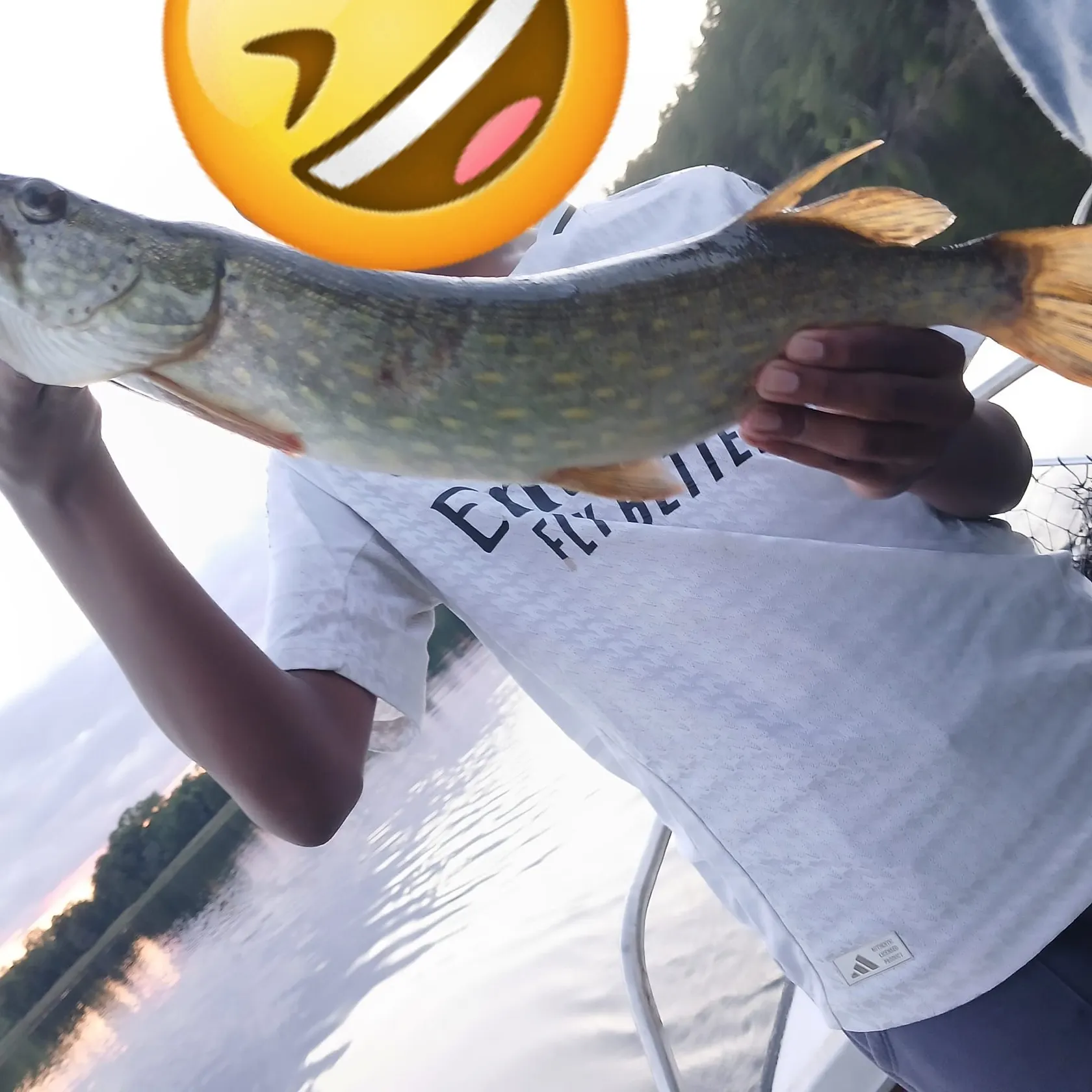 Northern pike caught on Fishbrain