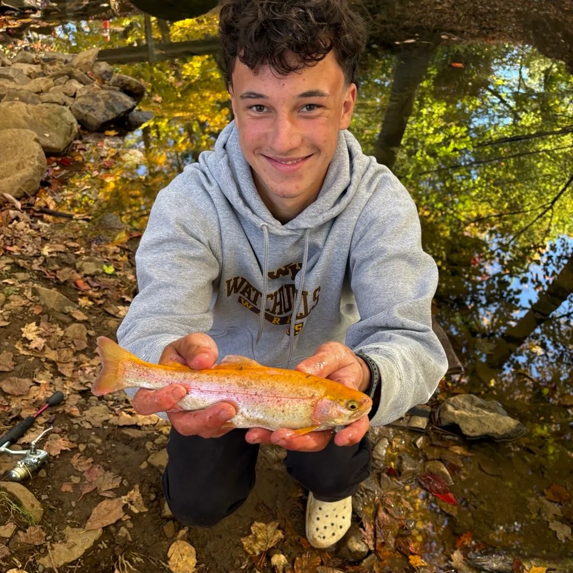 Golden rainbow trout caught on Fishbrain