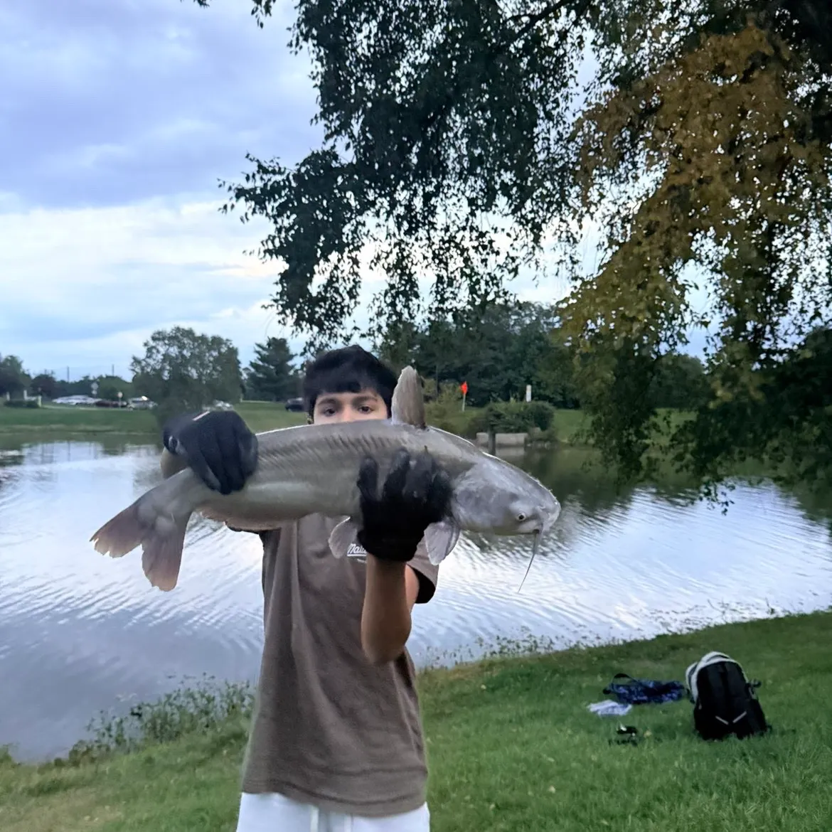 Blue catfish caught on Fishbrain