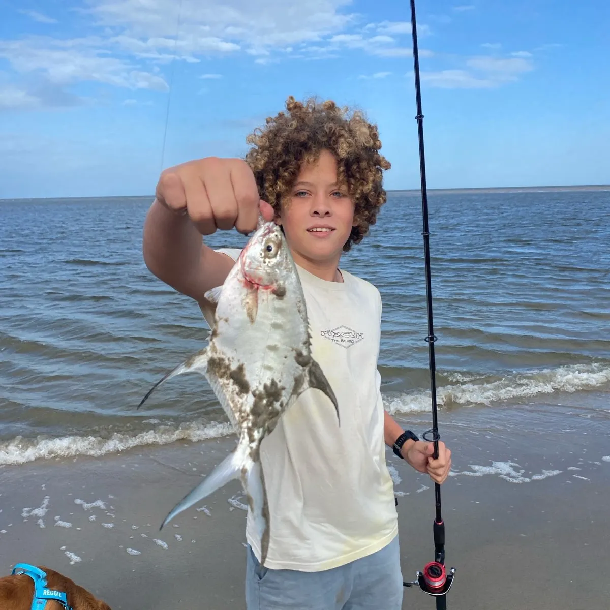 The most recent Largespotted dart catches on Fishbrain