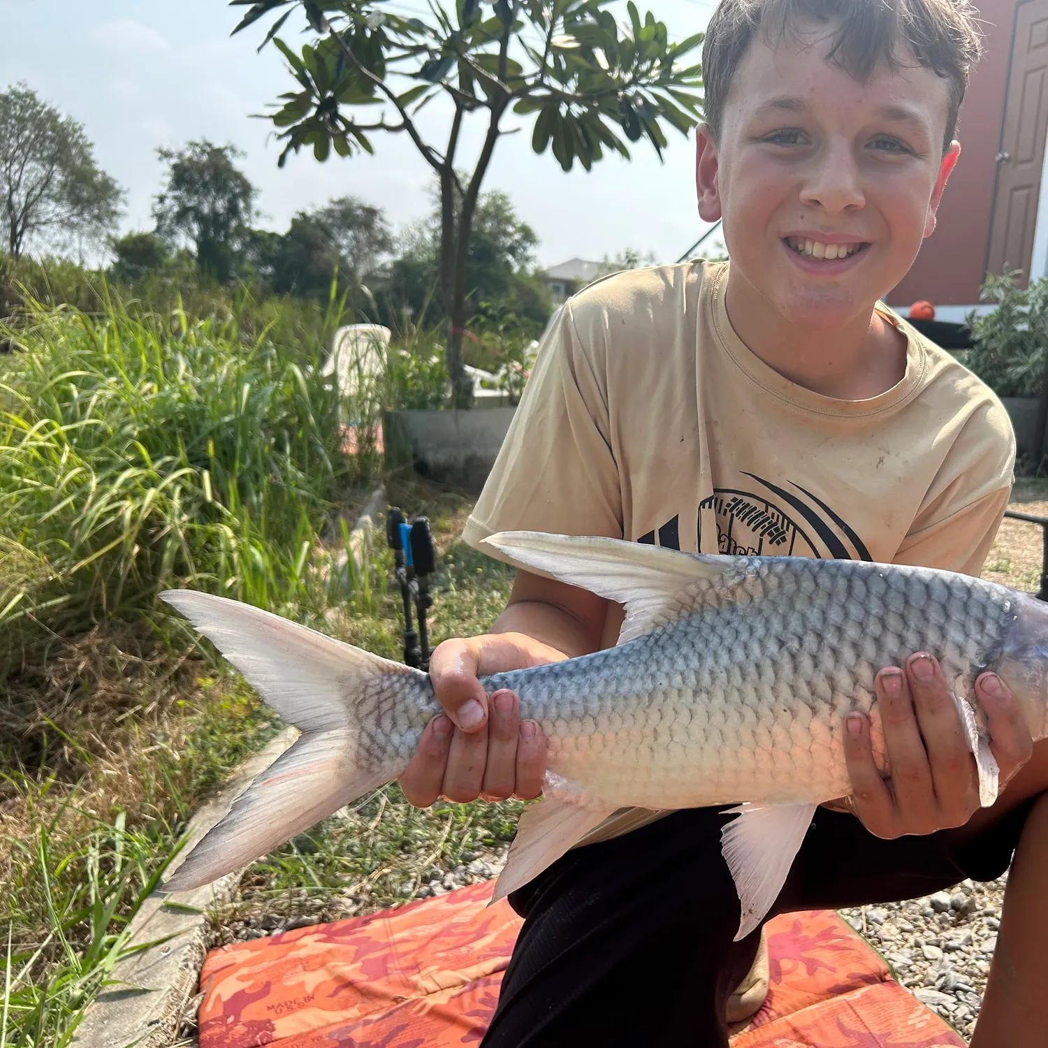 The most recent Niger barb catches on Fishbrain