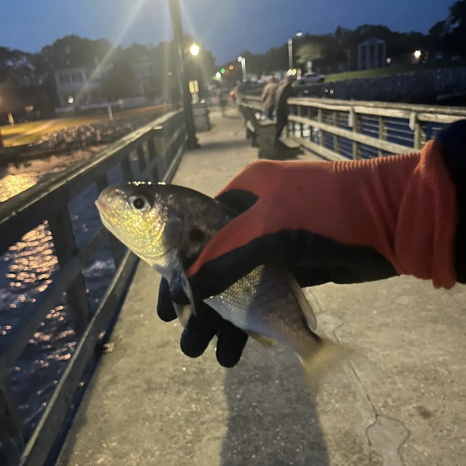 catch