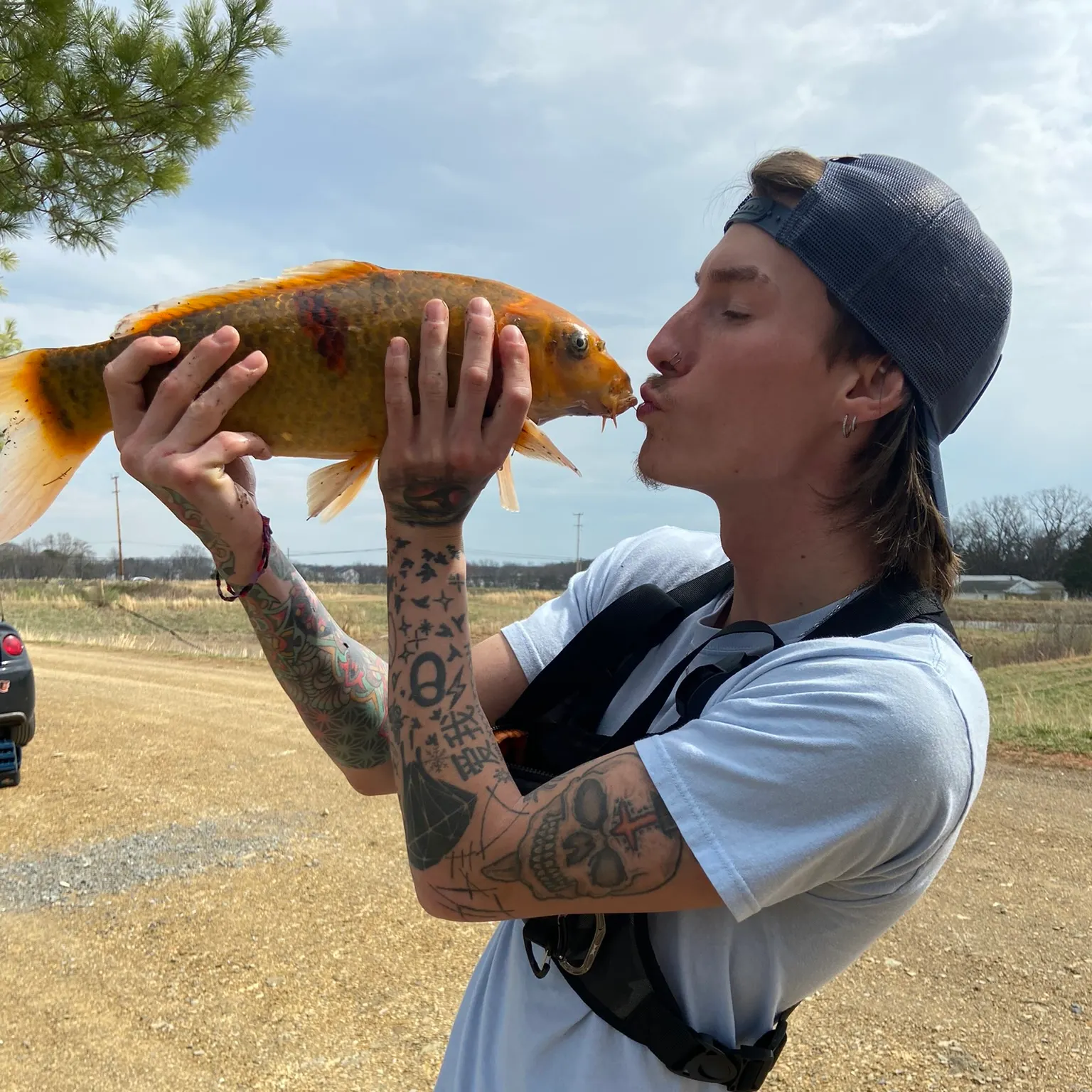 The most recent Koi carp catches on Fishbrain