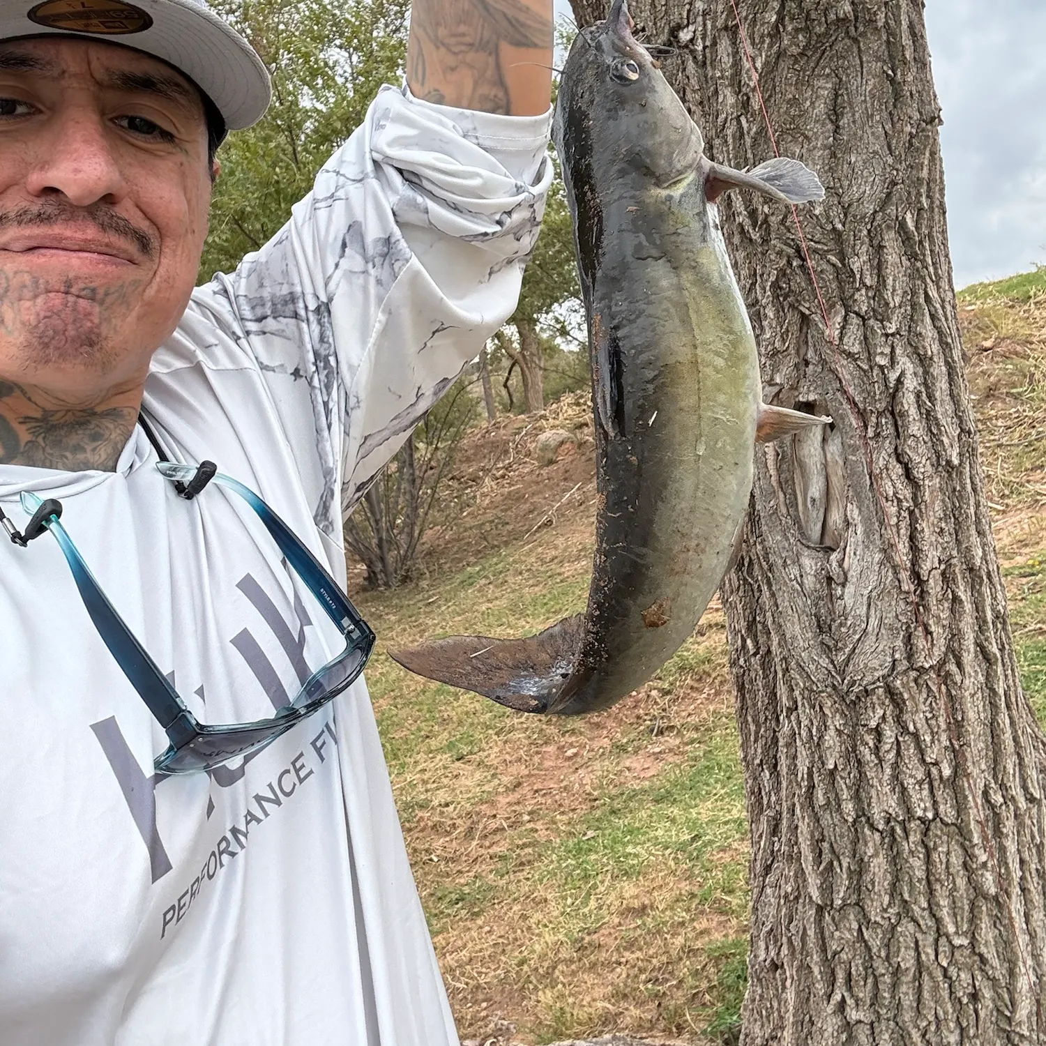 Channel catfish caught on Fishbrain