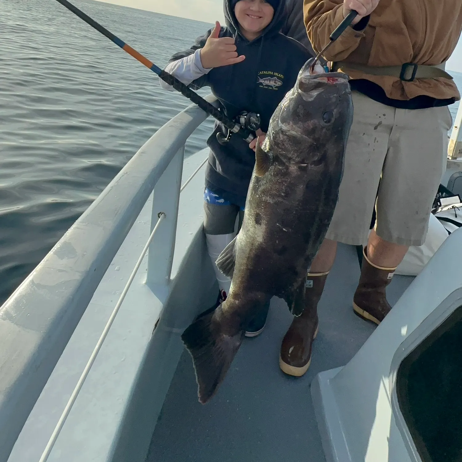 The most recent Giant sea bass catches on Fishbrain