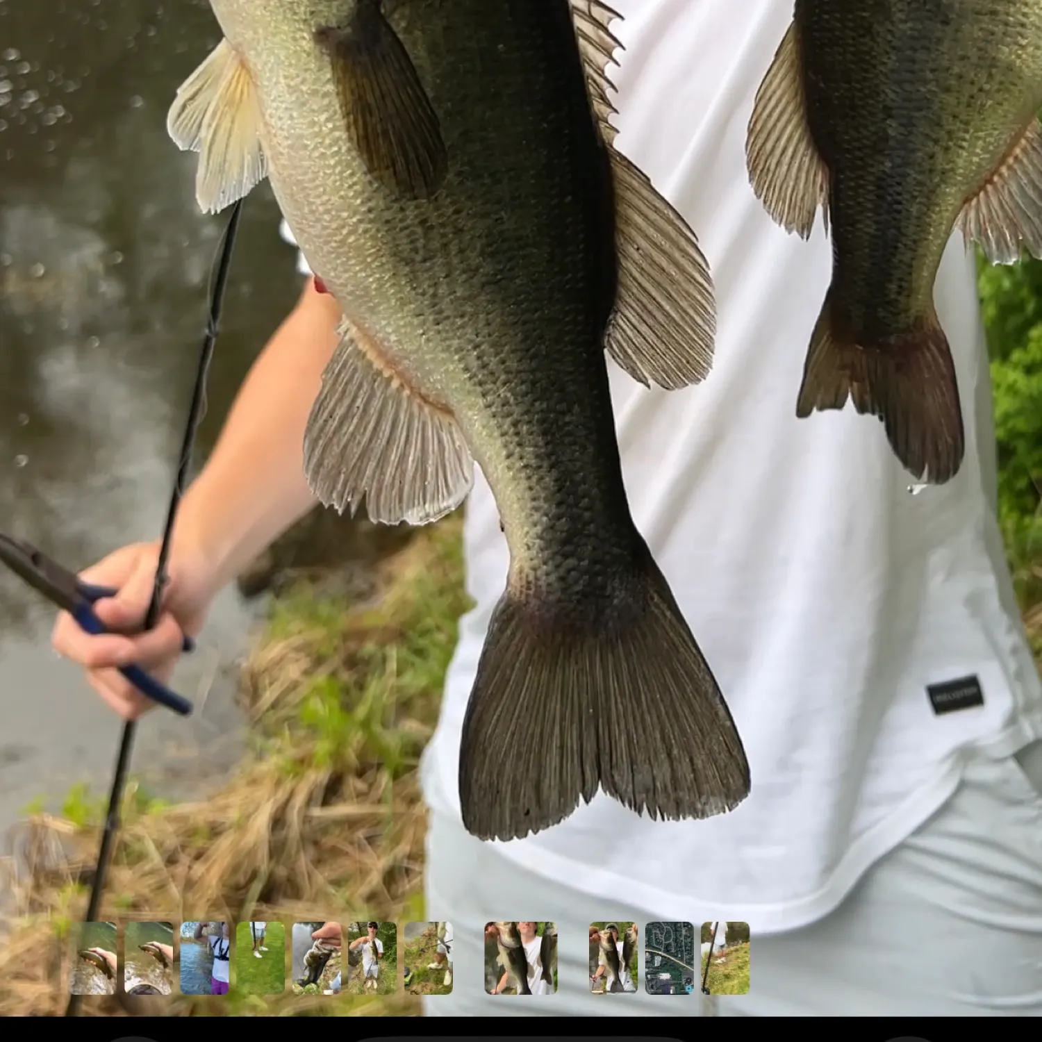 recently logged catches