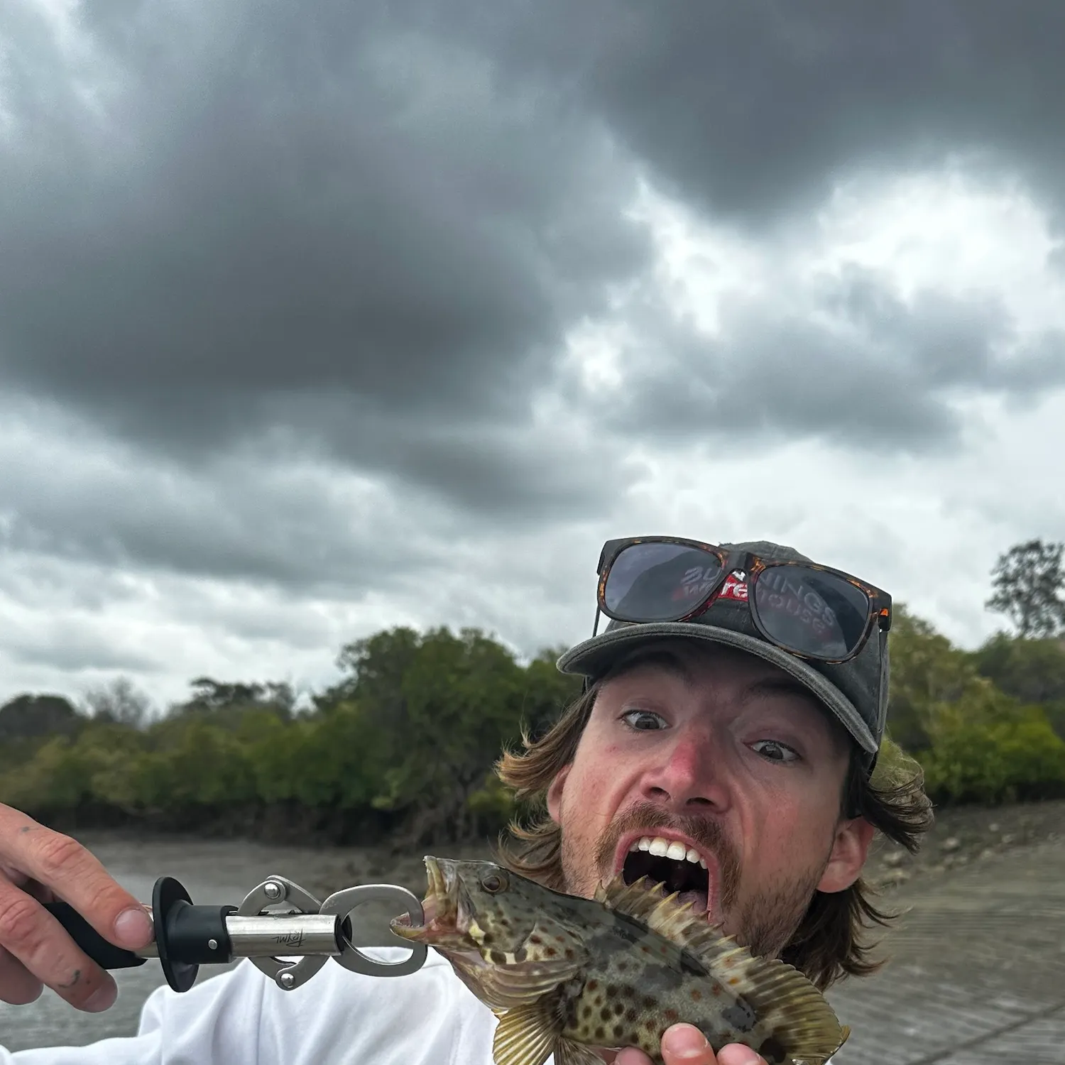 Orange-spotted grouper caught on Fishbrain