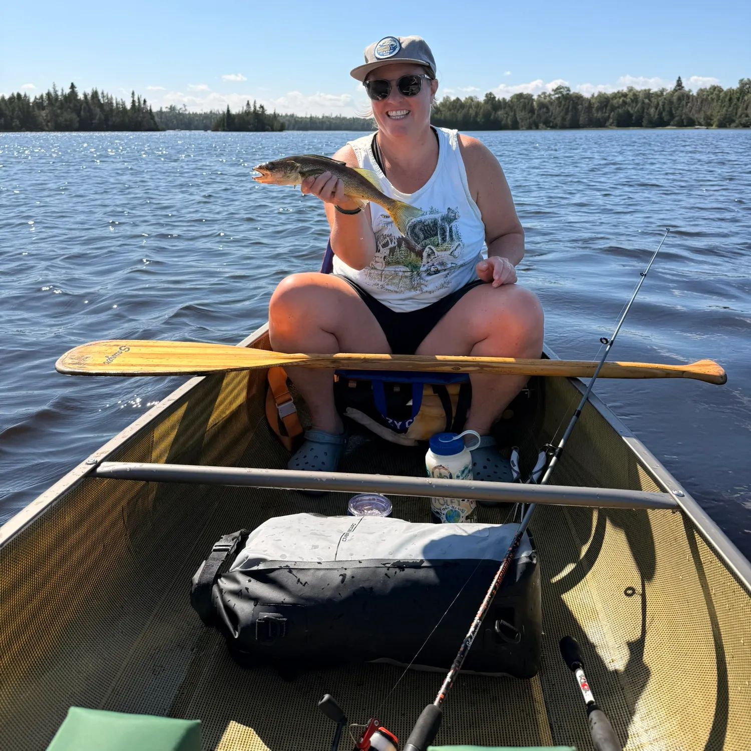 Walleye caught on Fishbrain