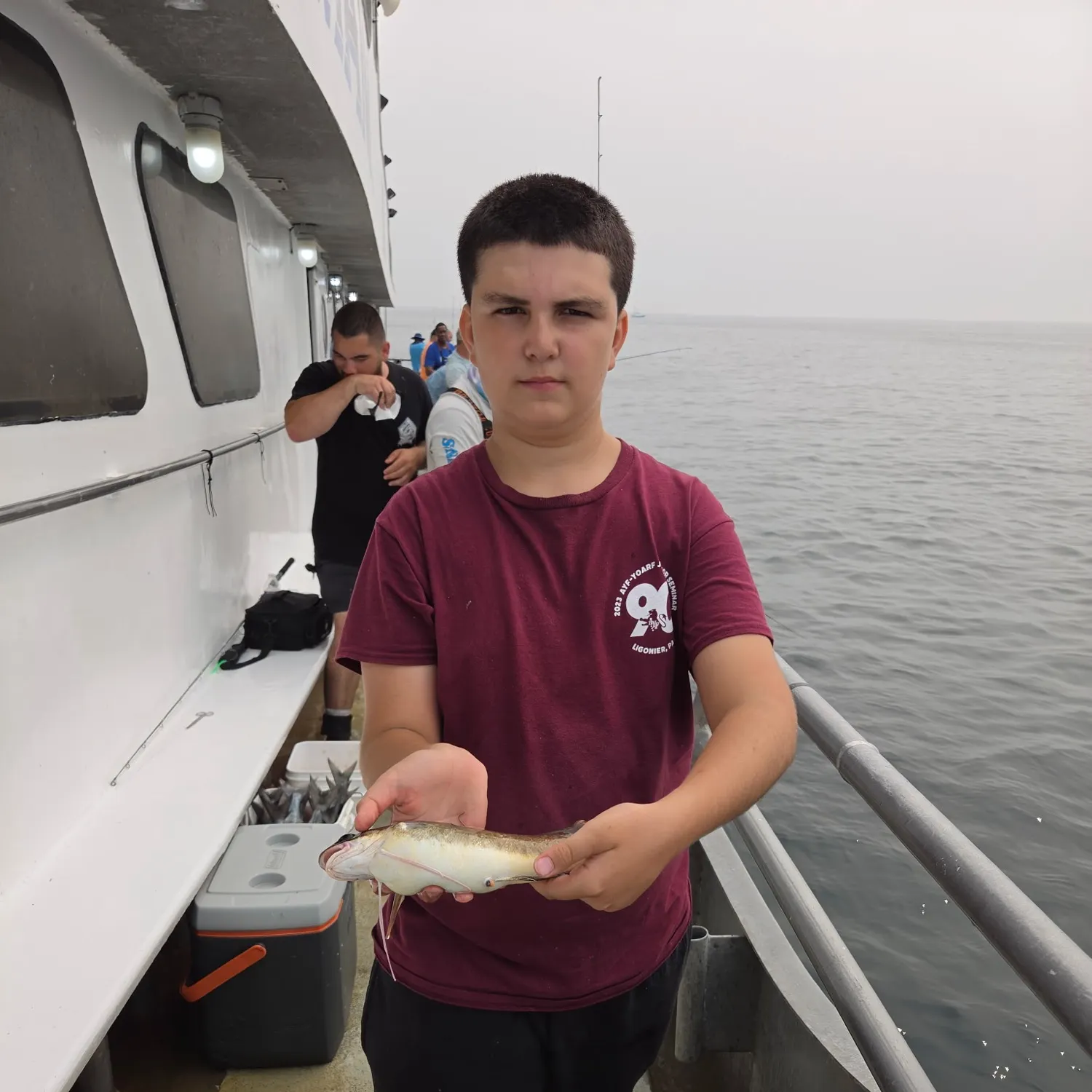 The most recent Red hake catches on Fishbrain