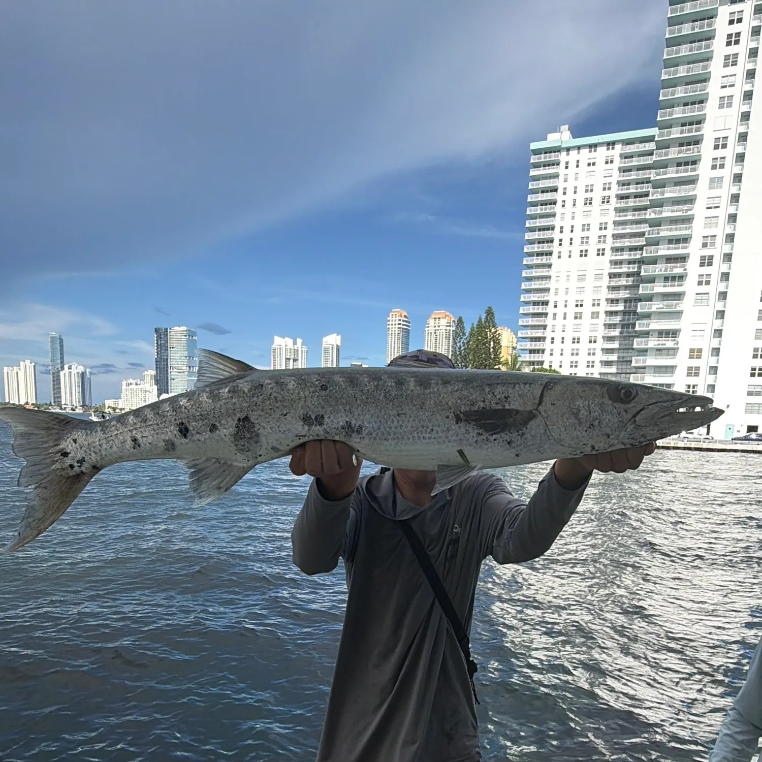 Great barracuda caught on Fishbrain