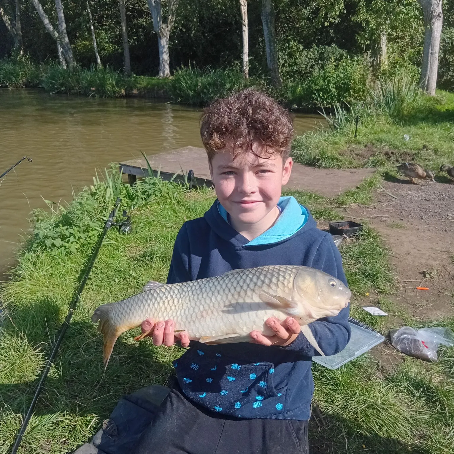 Common carp caught on Fishbrain
